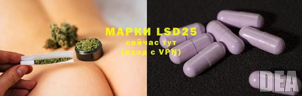 mdma Бородино